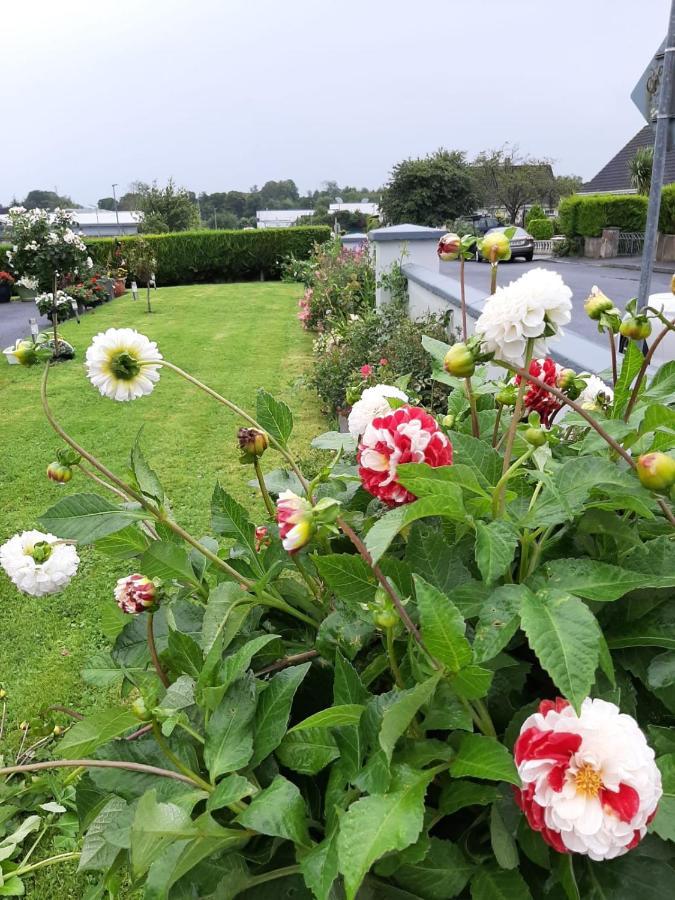 Appartamento Hillgrove House Boyle Esterno foto