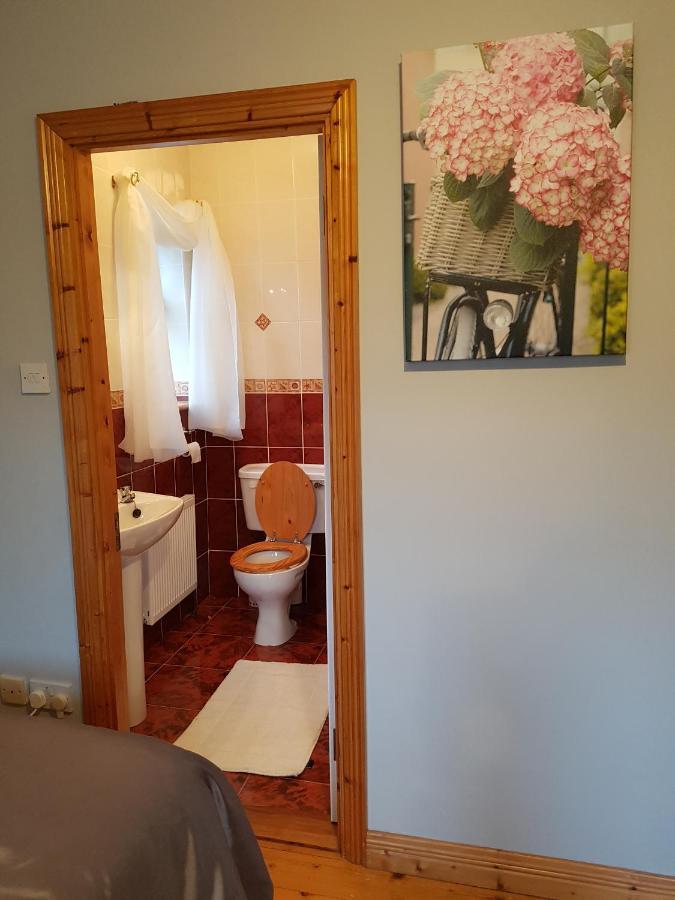 Appartamento Hillgrove House Boyle Esterno foto